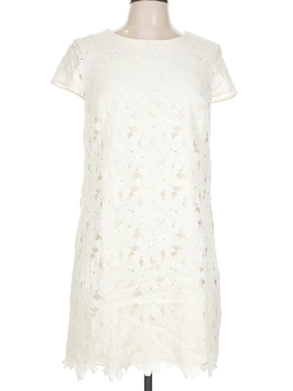 Cynthia Steffe White Lace Shift Dress – Size 12